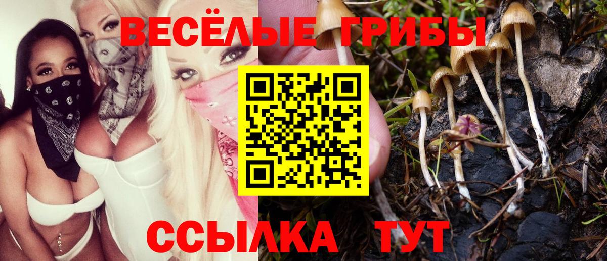Псилоцибиновые грибы мицелий  Галлюциногенные грибы прущие грибы  цены наркотик  Асбест  Вход с VPN 